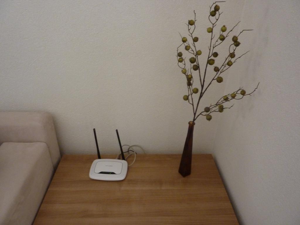 Liptov Apartment